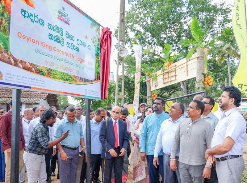 Ceylon King Coconut Village programme launched to increase production and expand markets